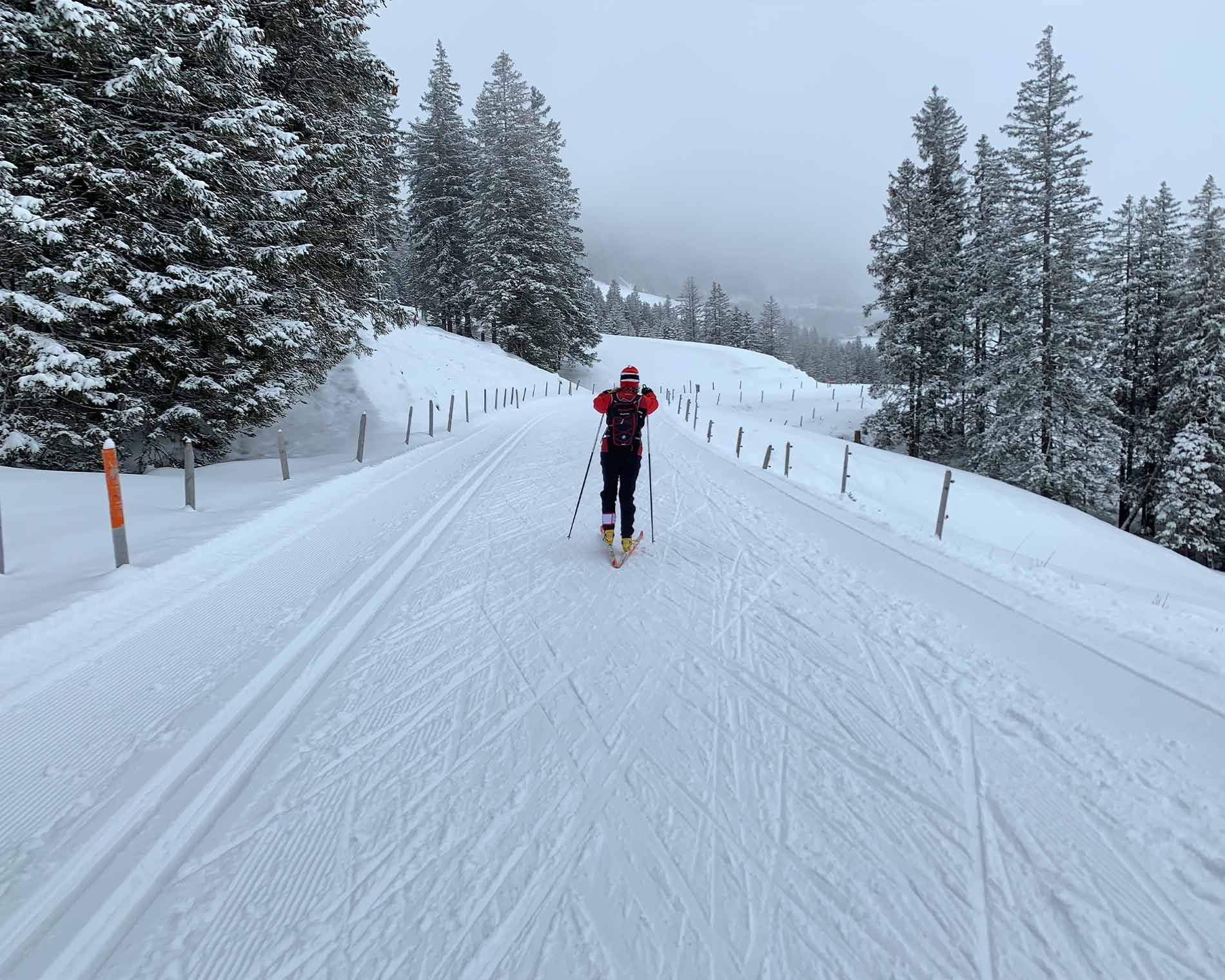 Lanfläufer auf einer Loipe
